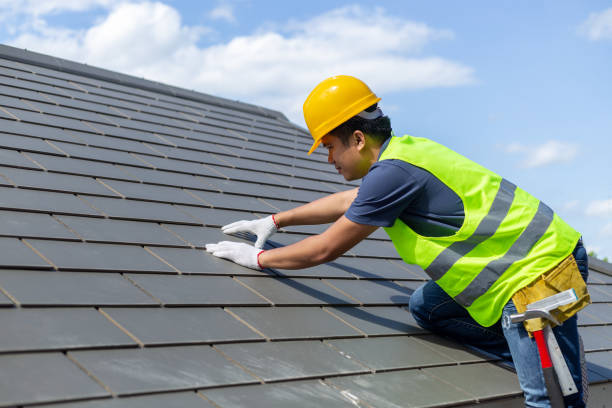 Best Local Roofing Companies  in Columbus, MN