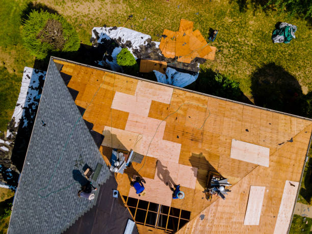 Best Storm Damage Roof Repair  in Columbus, MN