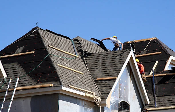 Best Roof Gutter Cleaning  in Columbus, MN