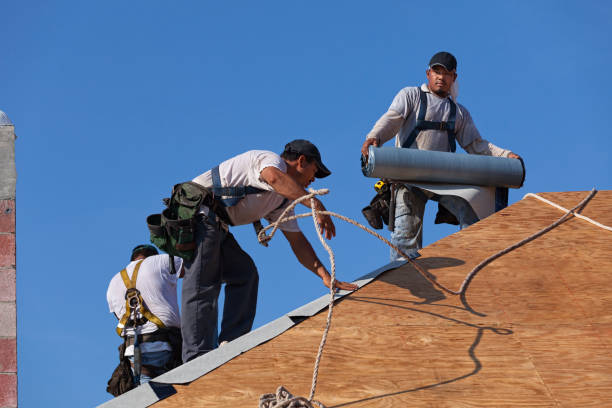Residential Roof Replacement in Columbus, MN
