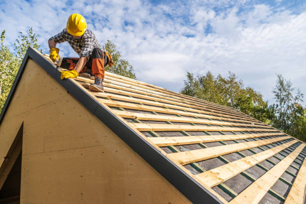 Best Roof Repair Services  in Columbus, MN