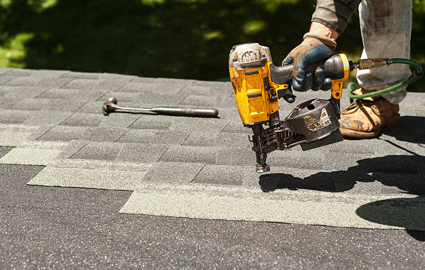 Best Metal Roofing Contractor  in Columbus, MN