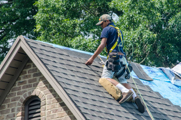 Quick and Trustworthy Emergency Roof Repair Services in Columbus, MN